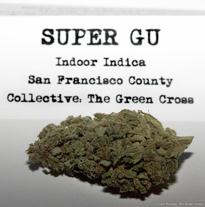 3rd Annual San Francisco Cannabis Cup, 2009